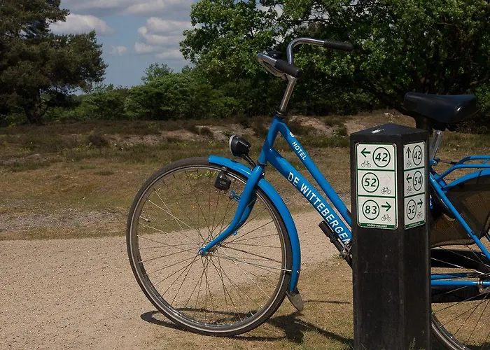 Der Valk Hilversum/ De Witte Bergen Hotel 4*