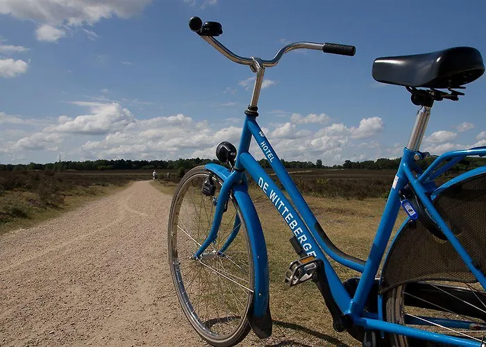 Der Valk Hilversum/ De Witte Bergen Hotel 4*